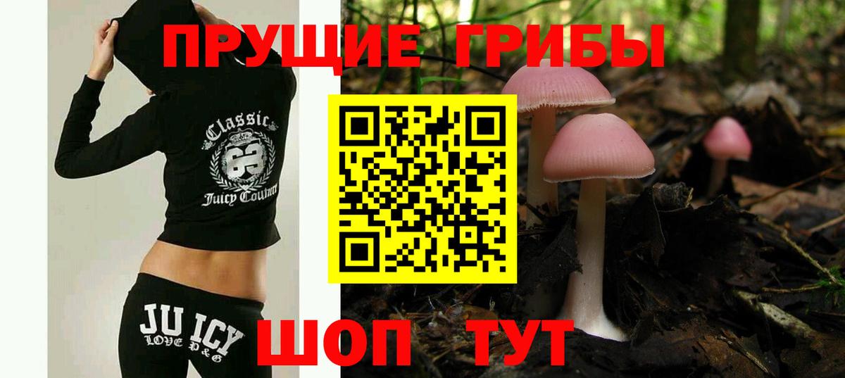 Галлюциногенные грибы Psilocybe Железноводск